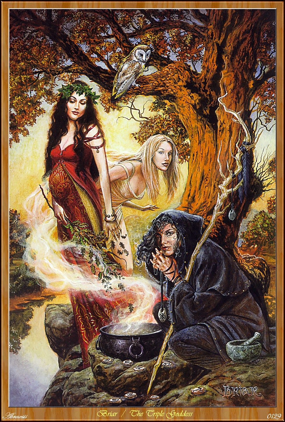 Будь моей ведьмой читать. Скандинавская ведьма Вельва. Ирландская богиня Медб. Баба Яга Ягиня богиня. Богиня Викка МАБОН.